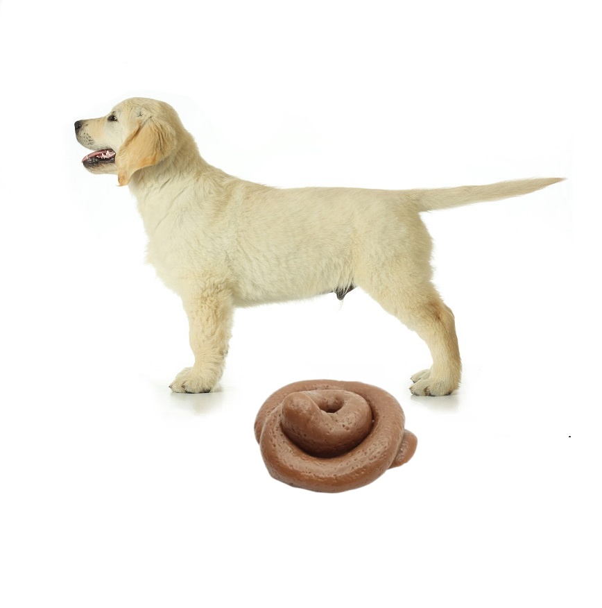 لعبة مضحكة على شكل براز قابلة  - مراجعة Fake Poop Gag Gift وسعره