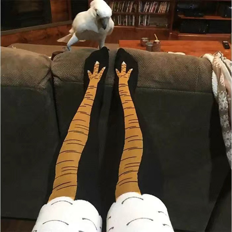 جوارب نسائية طويلة بتصميم مخال - مراجعة Funny Chicken Leg Socks وسعره